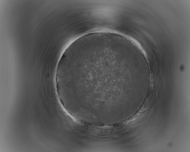 X0000095940863200801181359