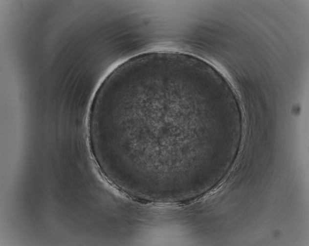 X0000095940864200801181359