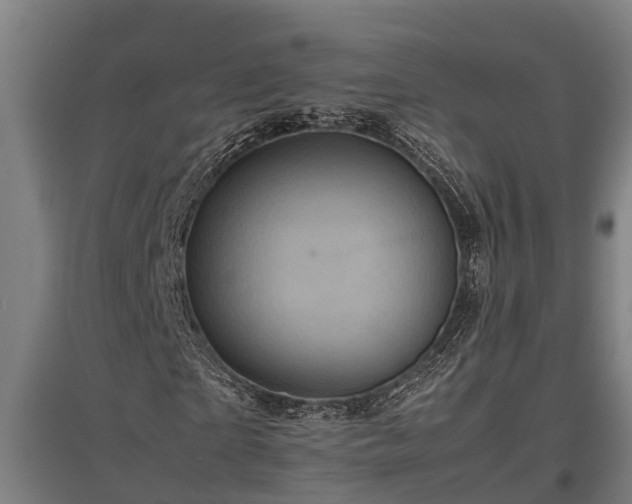 X0000095940865200801181358