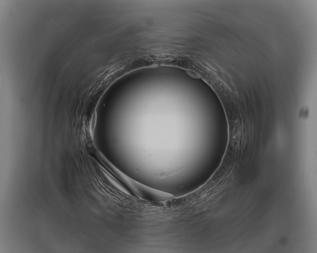 X0000095940866200801181358