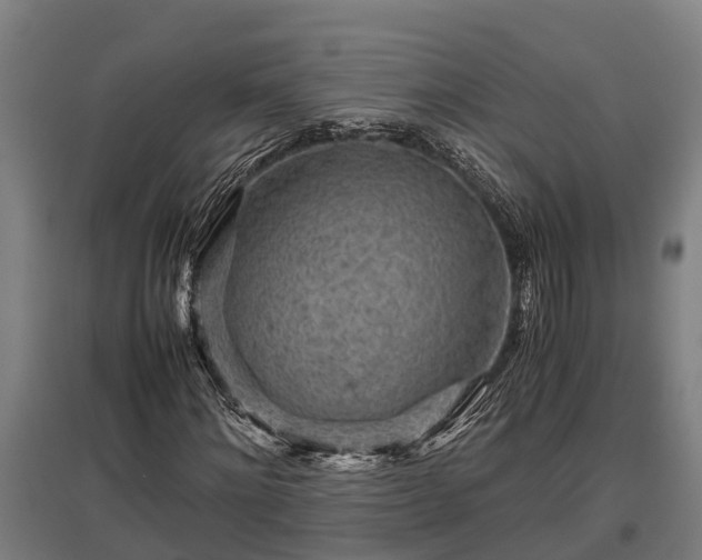 X0000095940868200801181358