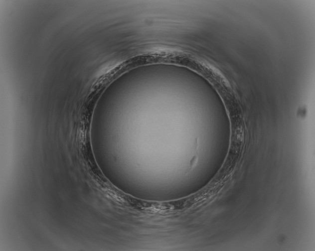X0000095940869200801181358