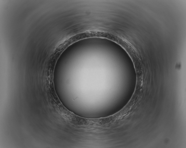 X0000095940870200801181358