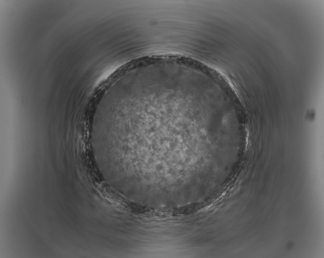 X0000095940871200801181358