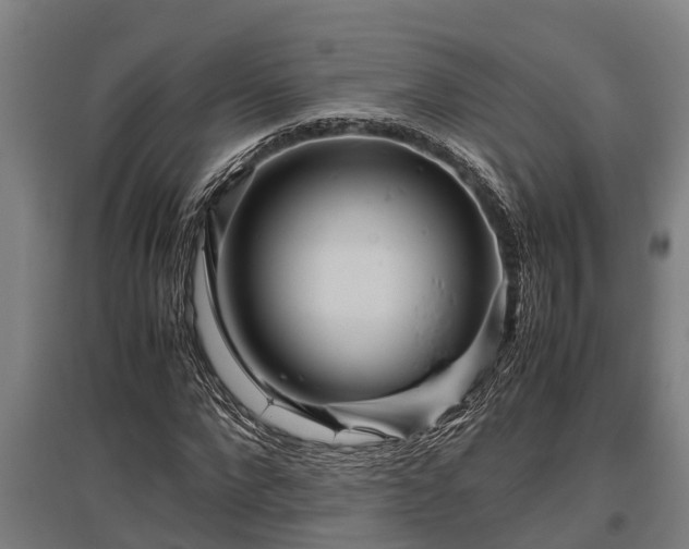 X0000095940872200801181358