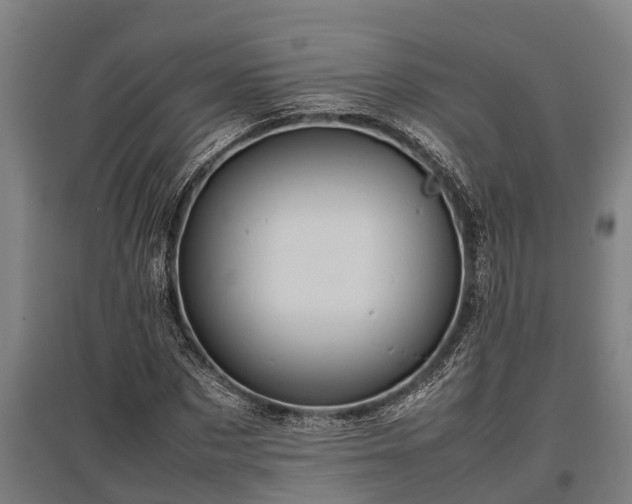 X0000095940873200801181358