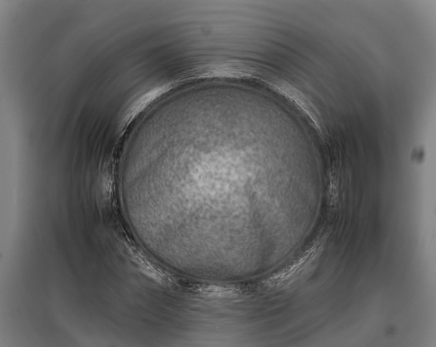 X0000095940874200801181358