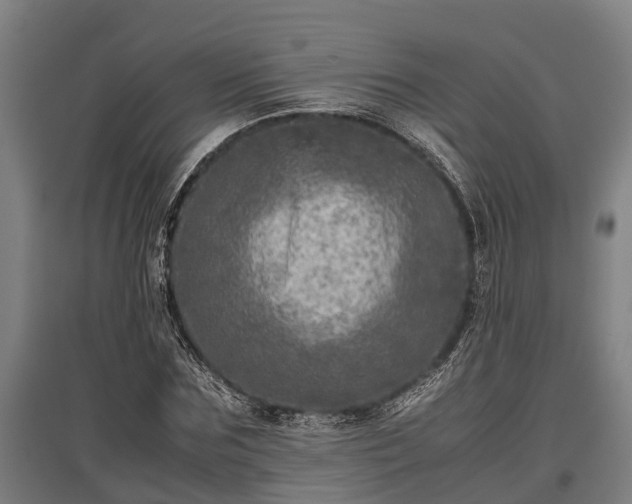 X0000095940875200801181358