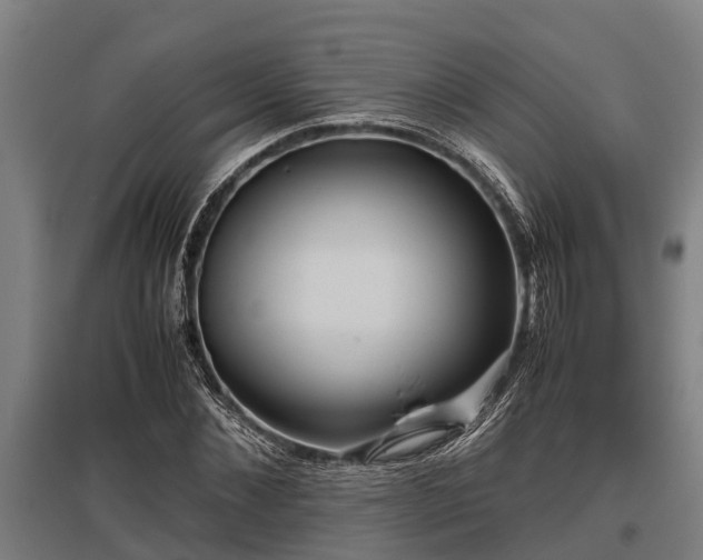 X0000095940876200801181358