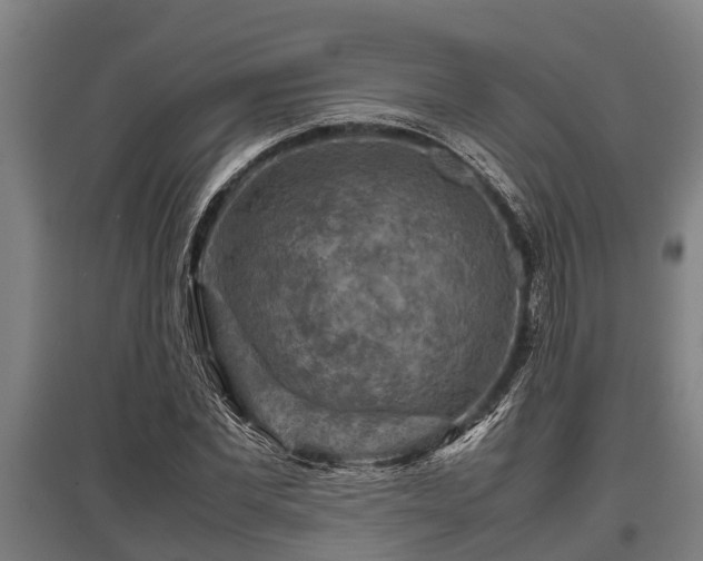 X0000095940877200801181358