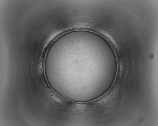 X0000095940878200801181358
