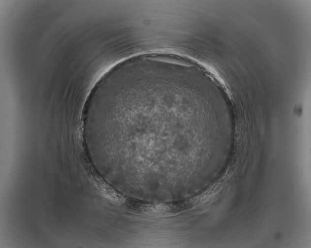 X0000095940879200801181358
