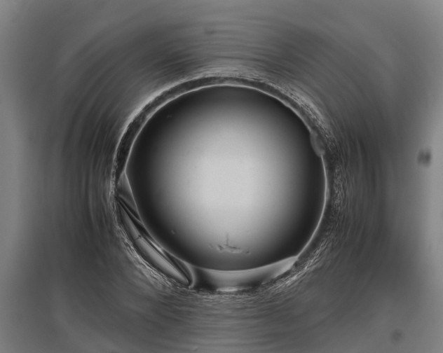 X0000095940880200801181358