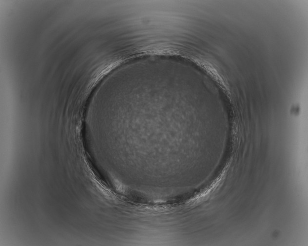 X0000095940881200801181358