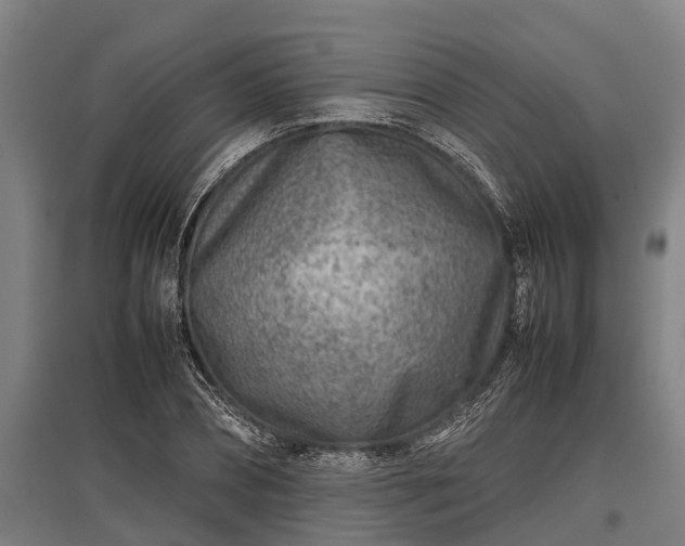 X0000095940882200801181358