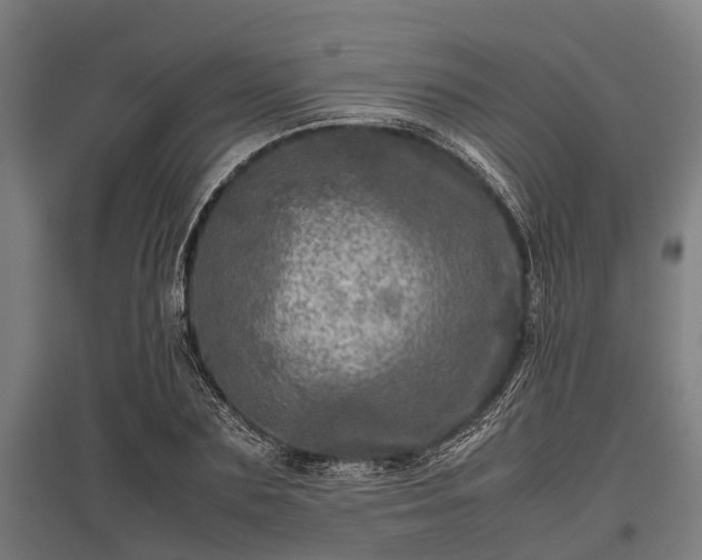 X0000095940883200801181358