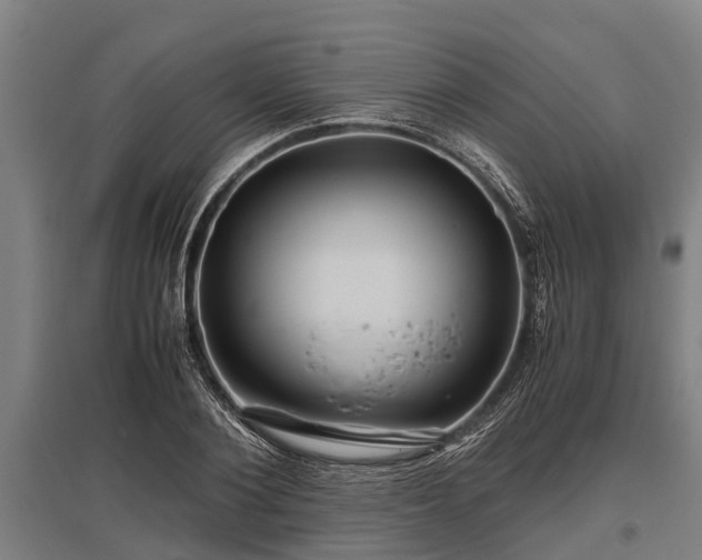 X0000095940884200801181358