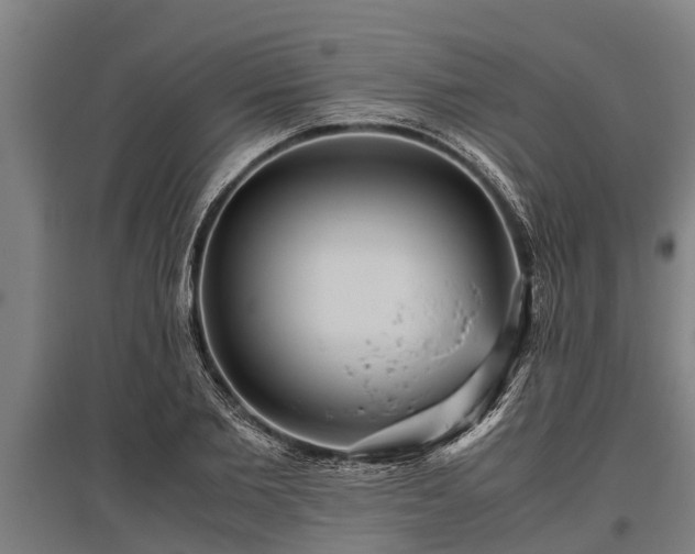 X0000095940885200801181358