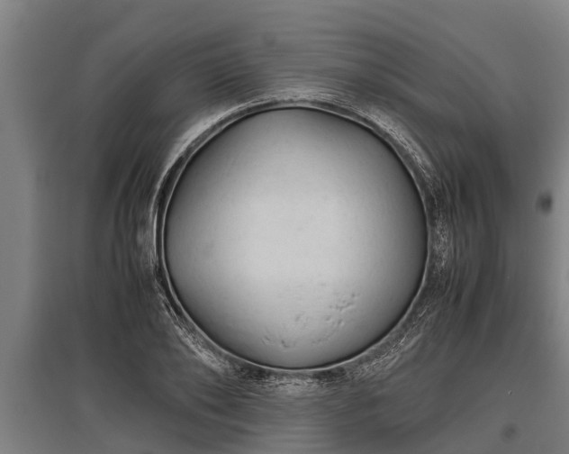 X0000095940886200801181358