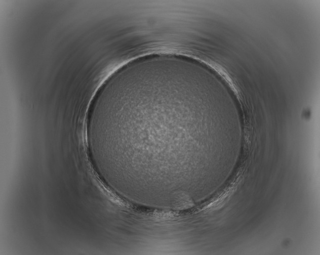 X0000095940887200801181358