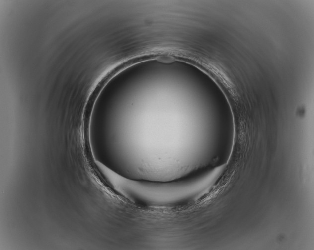 X0000095940888200801181358