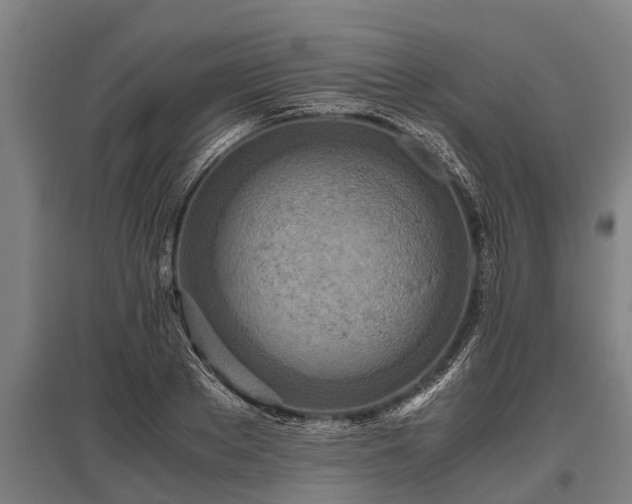 X0000095940889200801181358
