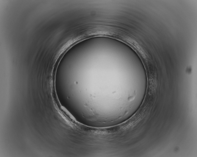 X0000095940890200801181358