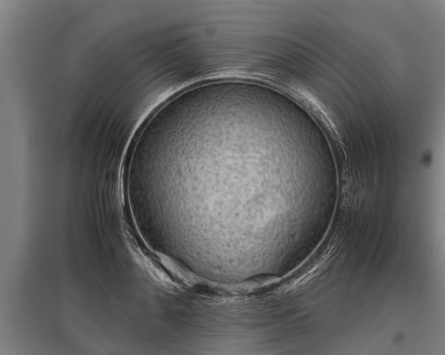 X0000095940892200801181358