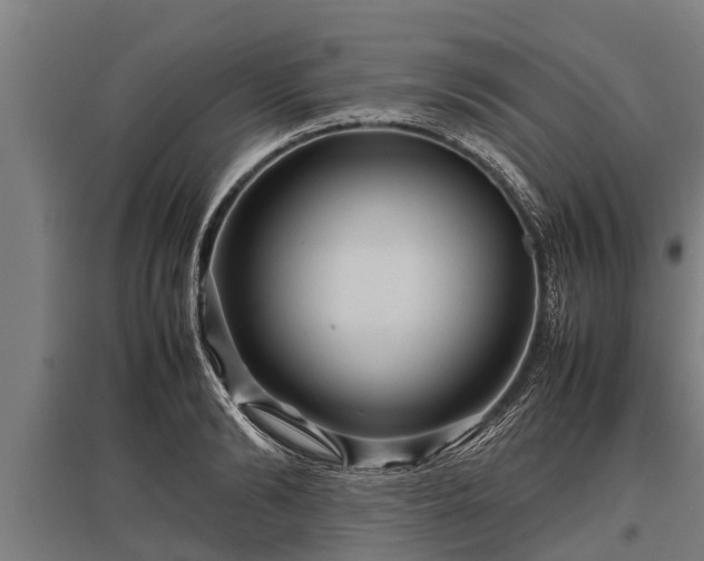 X0000095940894200801181358