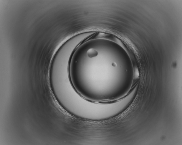 X0000095940896200801181358