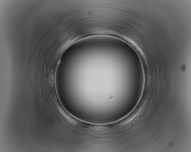 X0000095940897200801181358