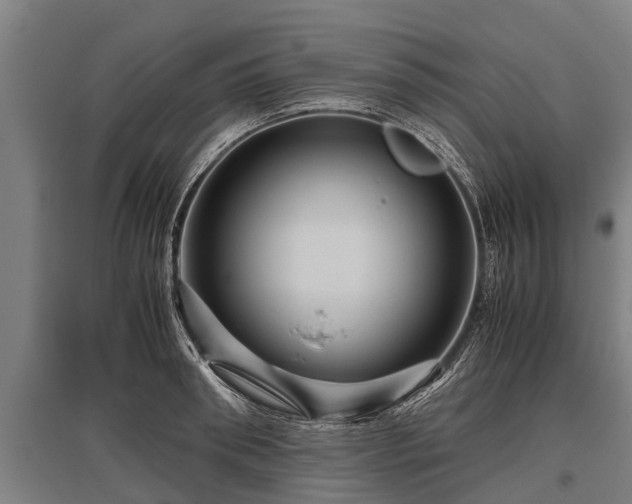 X0000095940898200801181358