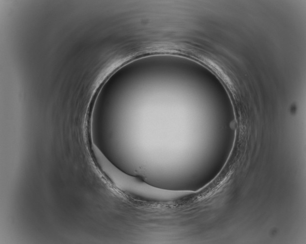 X0000095940901200801181358