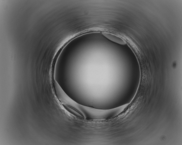 X0000095940902200801181358