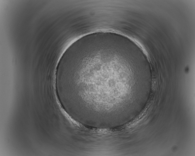 X0000095940903200801181358