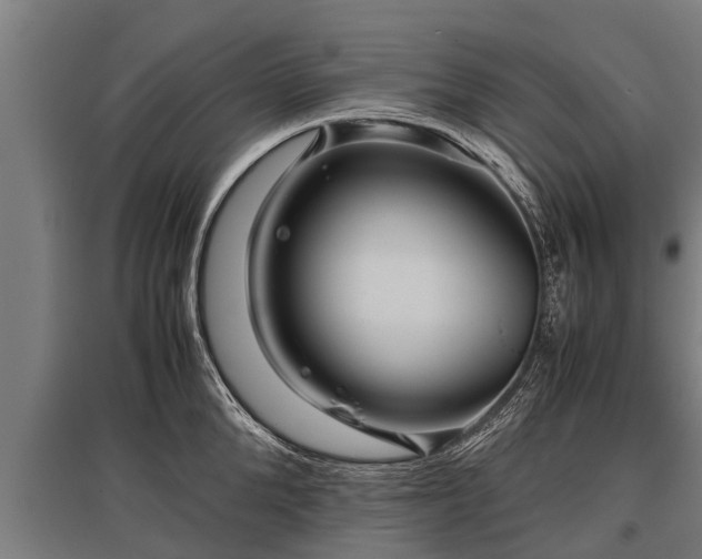 X0000095940904200801181358