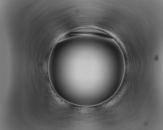 X0000095940905200801181358