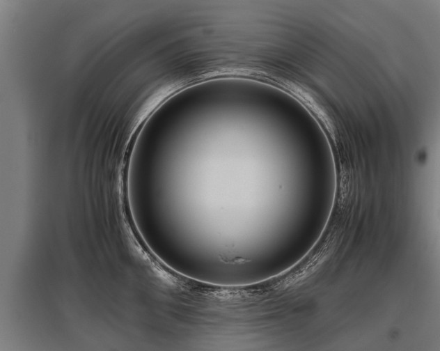 X0000095940906200801181358