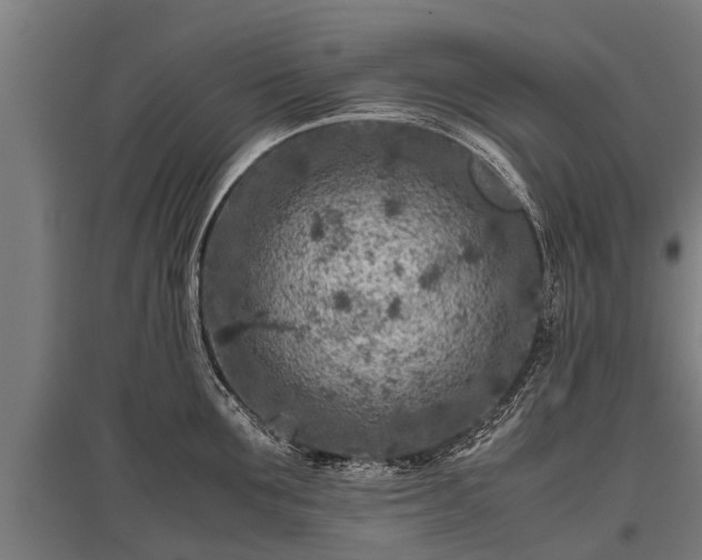 X0000095940907200801181358