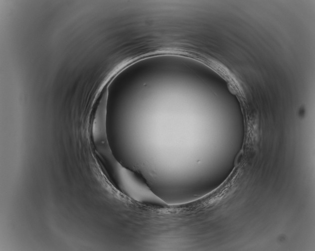 X0000095940908200801181358