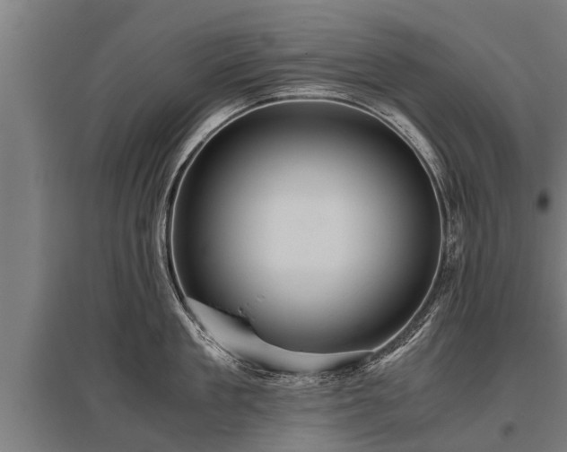 X0000095940909200801181358