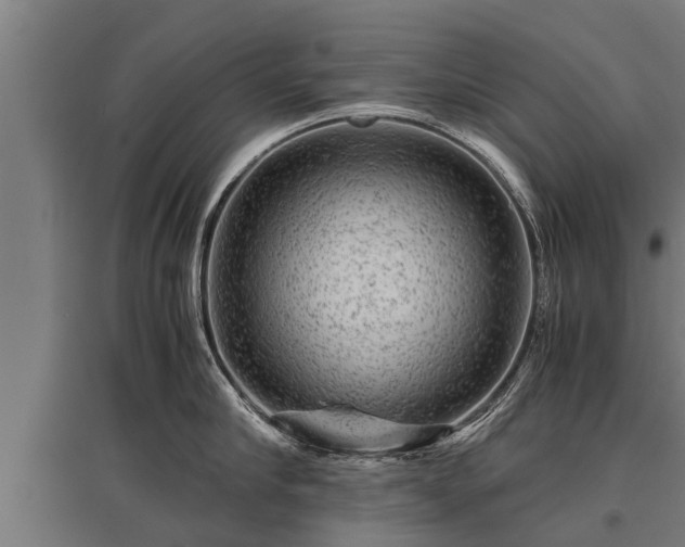 X0000095940910200801181358