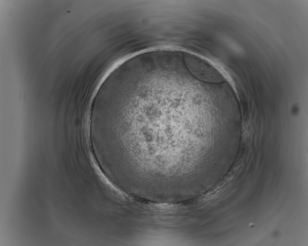 X0000095940911200801181358