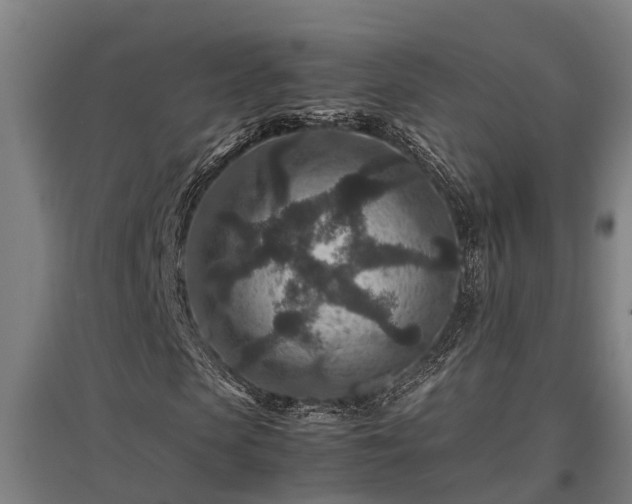 X0000095940913200801181357