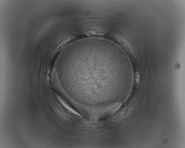 X0000095940915200801181357