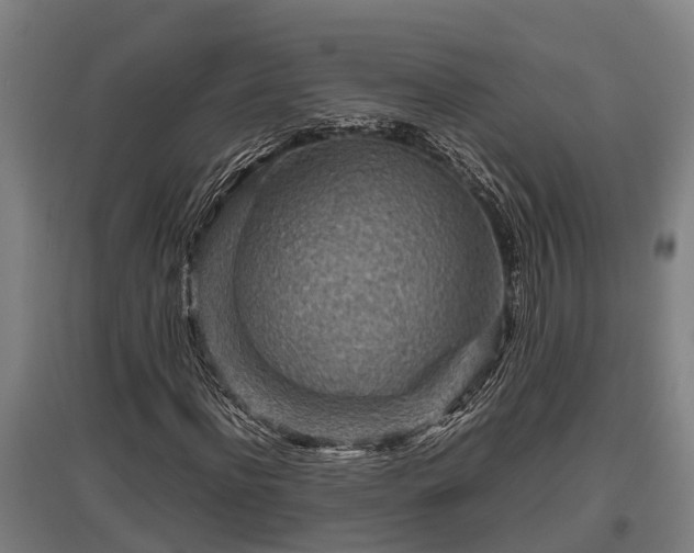 X0000095940916200801181357
