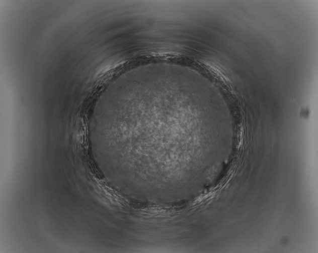 X0000095940917200801181357