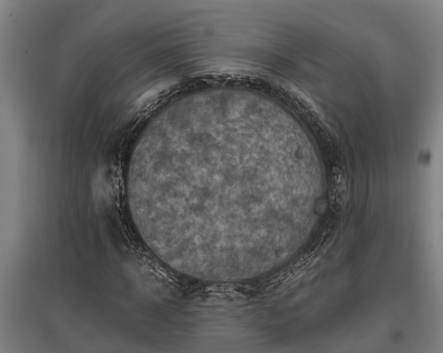 X0000095940918200801181357
