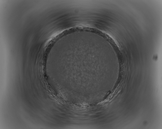 X0000095940919200801181357
