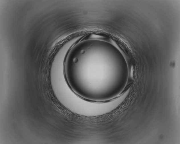 X0000095940920200801181357